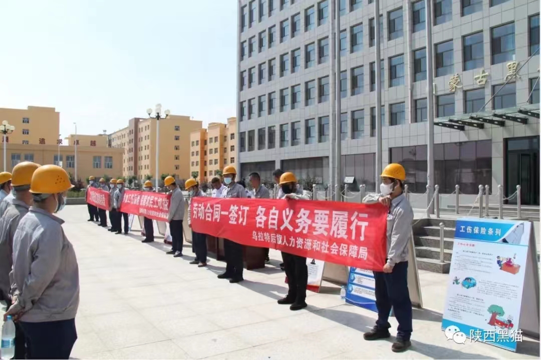 ��(n��i)�ɹź�؈�M���_չ������U�������