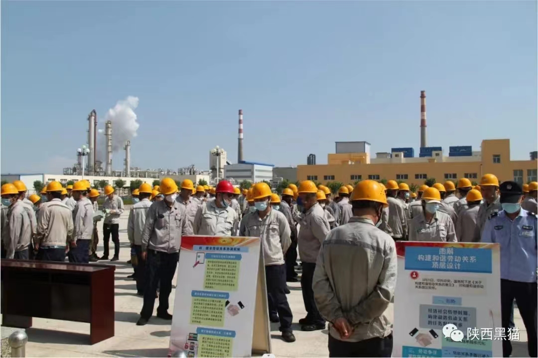 ��(n��i)�ɹź�؈�M���_չ������U�������