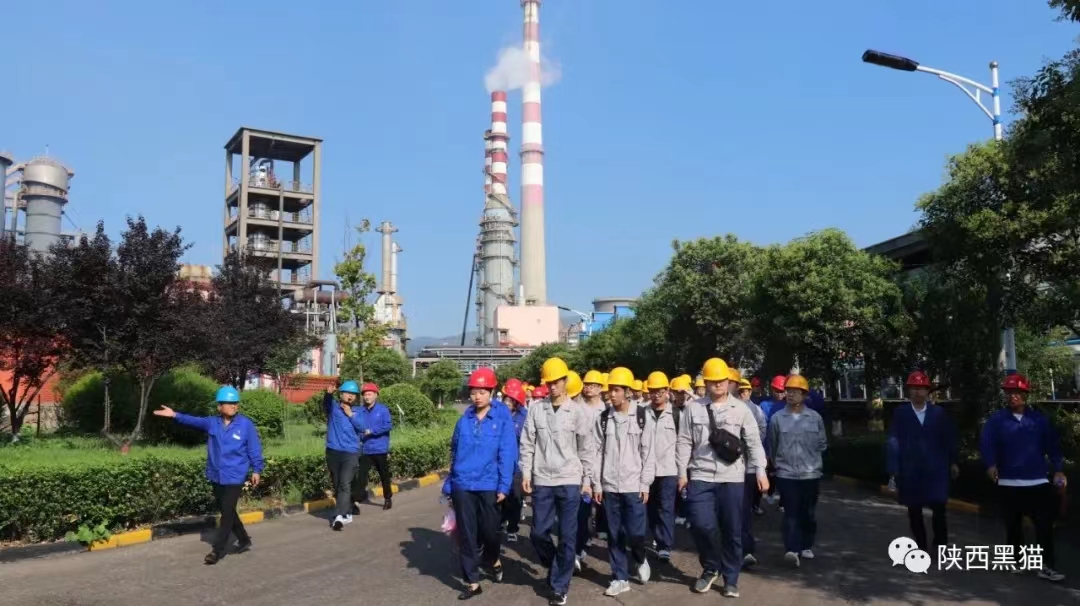 2022�ù�����֮��؈���첿��Ӱ